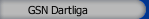 GSN Dartliga